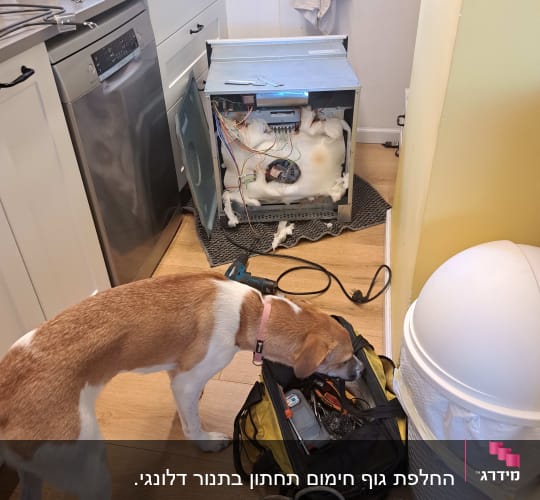 מדיח כלים פתוח עם חוטי חשמל וכלי עבודה
